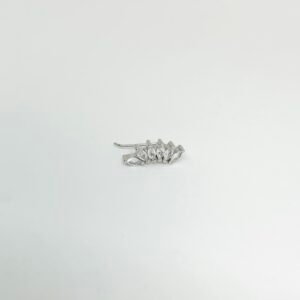 Caravana de plata y circonias