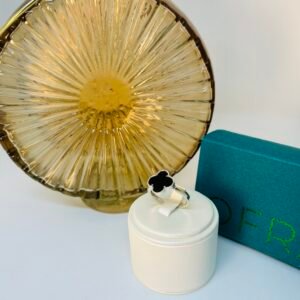 Anillo de plata y apliques