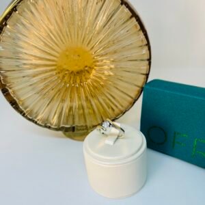 Anillo de plata y apliques